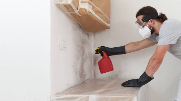 Professional Crawl Space Mold Removal technician working in Cedar Grove, FL
